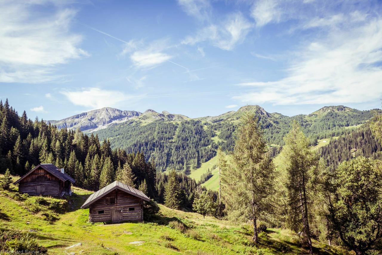 Hotel Alpenrose زوشنسي المظهر الخارجي الصورة